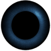 F5
