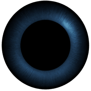 TEST 3
