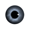 TEST 4