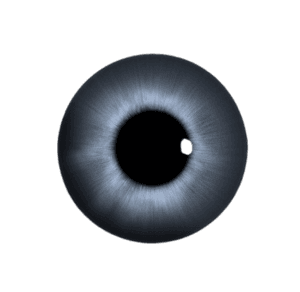 MV1