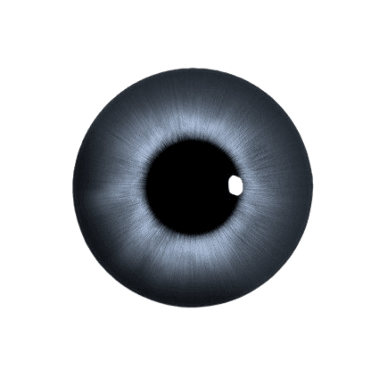 TEST 3